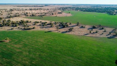 Nebea Station NSW