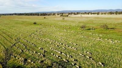 Riverview NSW