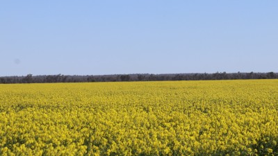 Cadara & Gum Cowal NSW