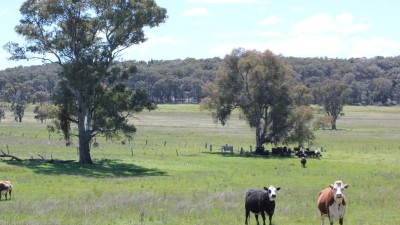 Cobbora – Stage Six