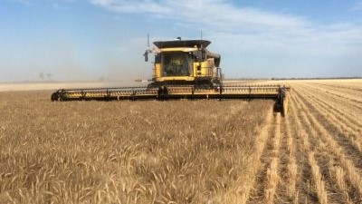 Norman Farming QLD