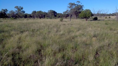 Penaroo QLD