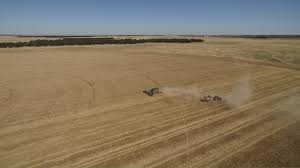 Sustainable Agriculture Fund (NSW & VIC)