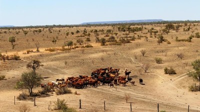 Canterbury Plains QLD