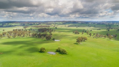 Earlstoun NSW