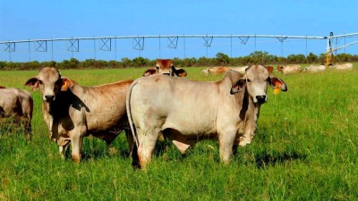 La Grange Farm WA