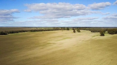 Moorna Station NSW