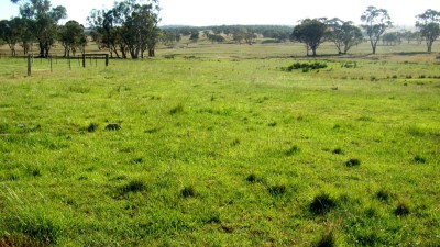 Rockleigh Station NSW