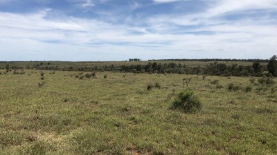 Gracemere QLD
