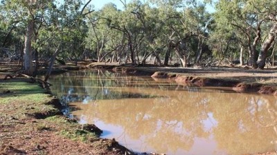 Karoo NSW
