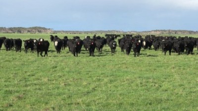 King Island Aggregation