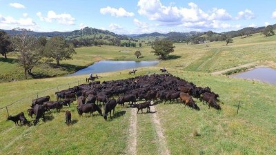 Prestwick NSW
