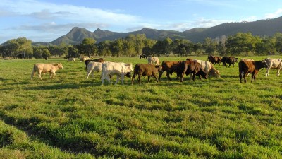 Tallawalah QLD