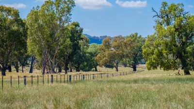 Hillview NSW