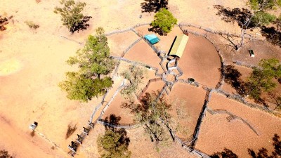 Lancevale QLD
