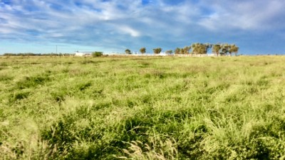 Athol Station QLD