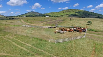 Comanche QLD