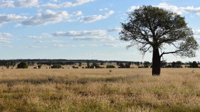 Fairfield & Larnook QLD