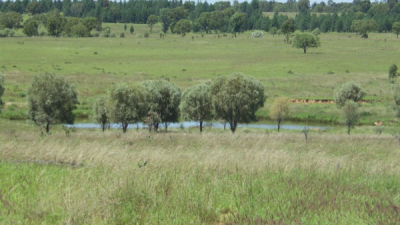 Flagstone QLD