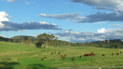 Glenora QLD