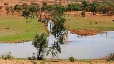 Maryvale Station NT