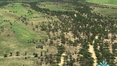 Wivenhoe & Brando QLD