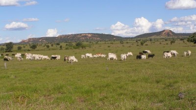 Caranna-Lynbrydon Aggregation QLD