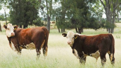Erinvale QLD