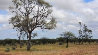 Nargon QLD