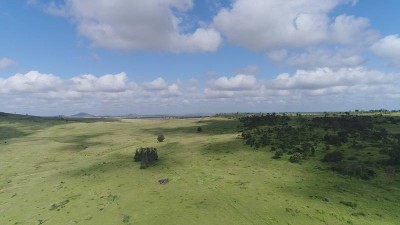Onedin QLD