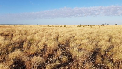 Verastan QLD