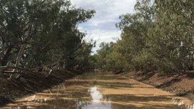 Canaway Downs QLD