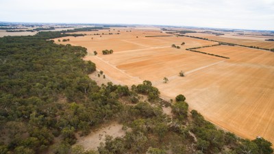 Elmore Cropping Portfolio VIC