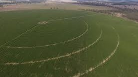 Lochiel Station QLD