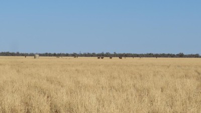 Nardoo & Bando QLD