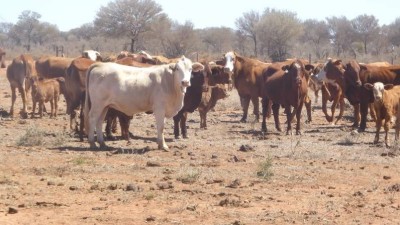 Granville Aggregation QLD