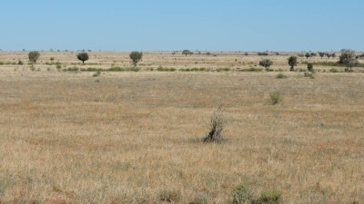 Prairie Downs QLD
