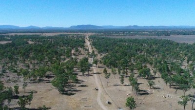 Bluevale QLD