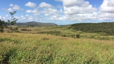 Cerberus QLD