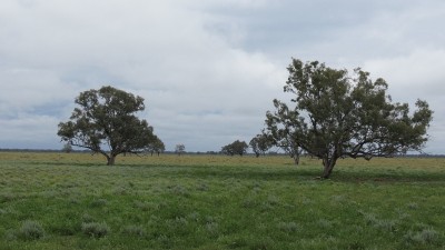 Langboyd NSW
