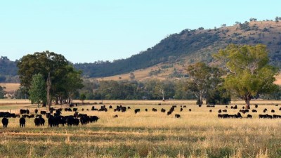 Currabubula Station NSW