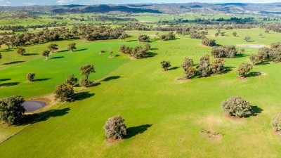 Lone Pine NSW