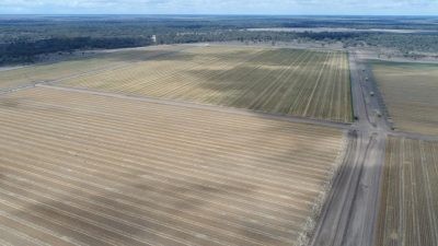 Darran Aggregation QLD
