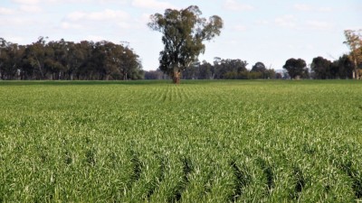 Glaisnock NSW