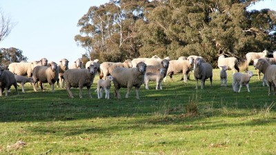 Mount Henry NSW