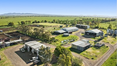 Quandong VIC