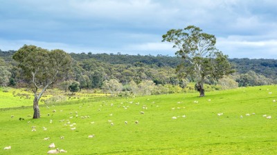 Chetwynd South & Bronton VIC