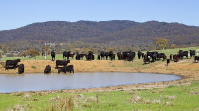 Lockhart and Massey Creek NSW