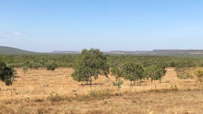 Big River Station NT