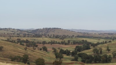 Canowindra Aggregation NSW